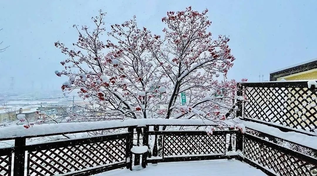 Ferienhaus Villa Sapporo Luxury Log House 5Brm Max 18Ppl 4 Free Parking